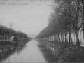 Le canal de Pont-de-Vaux arboré